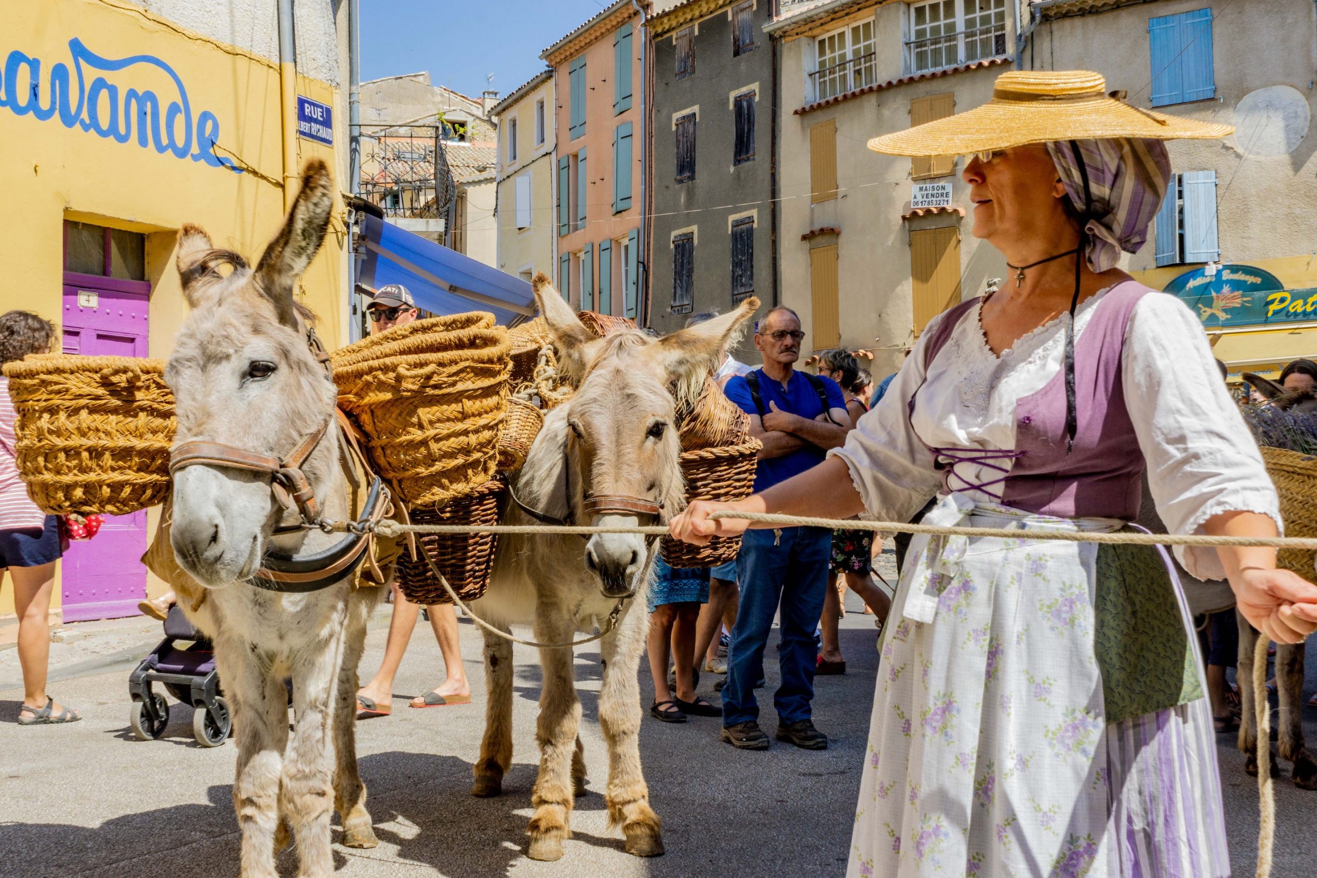 [:fr]Fete de la lavande à Valensole[:]