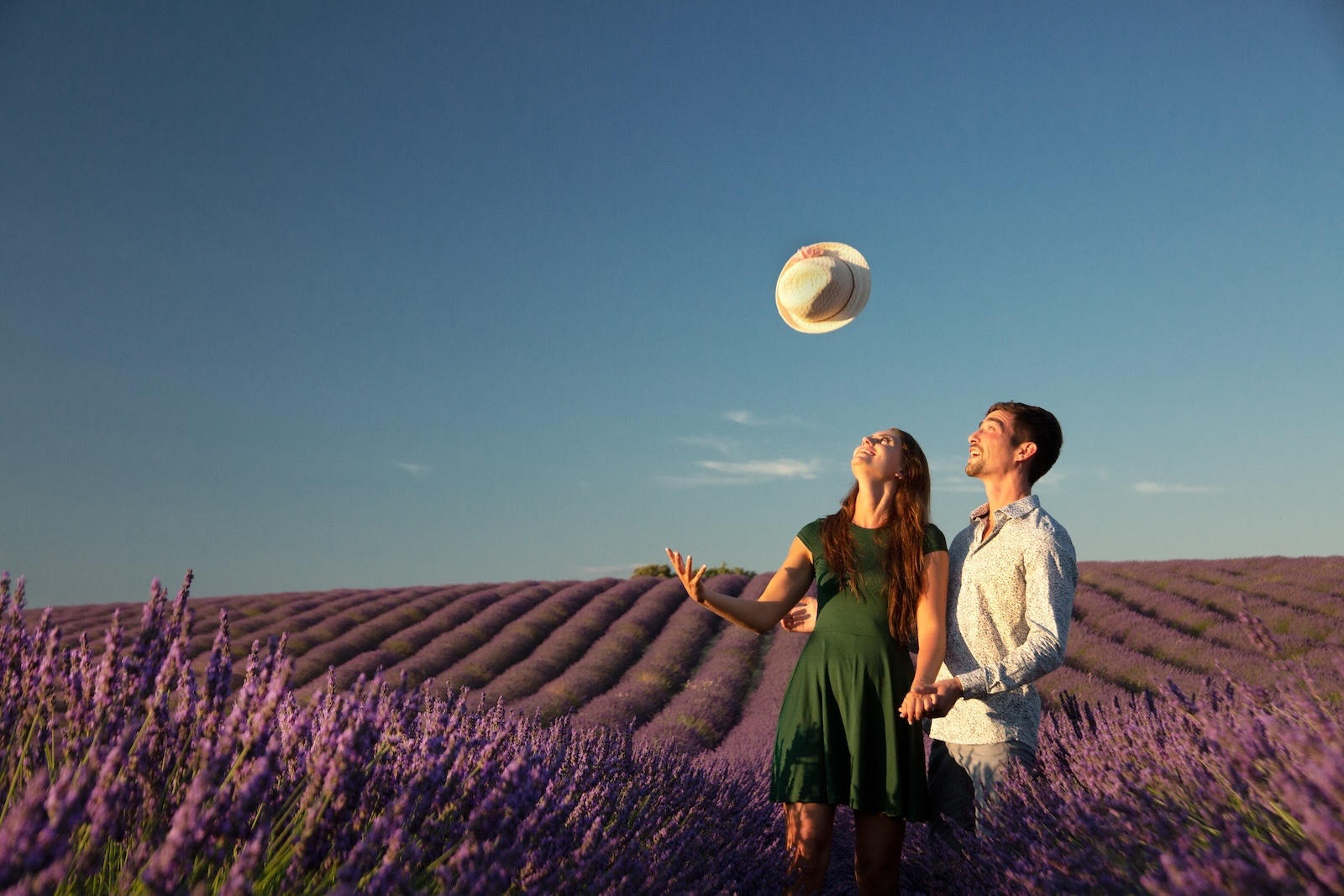 Plateau de Valensole sur les Routes de la Lavande