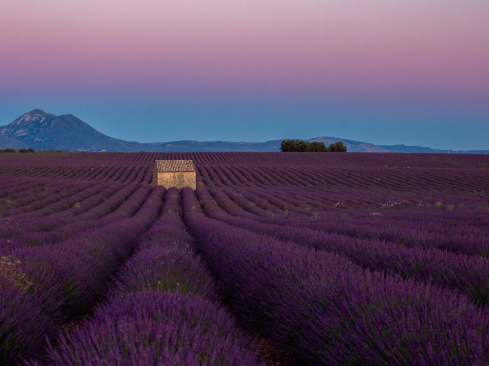 Plateau de Valensole sur les Routes de la Lavande