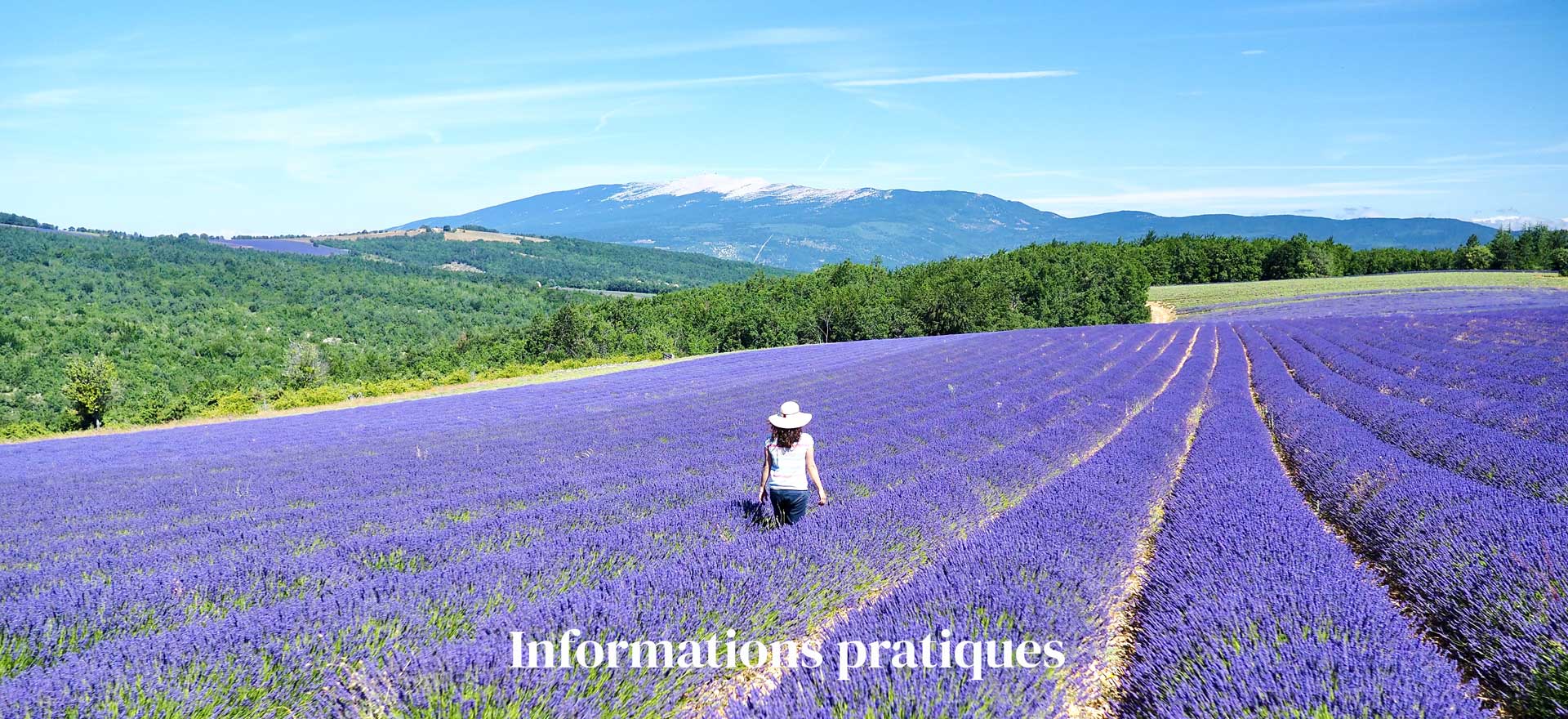 [:fr]informations pratiques routes de la lavande[:]