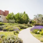 Maison L'Occitane sur les Routes de la Lavande