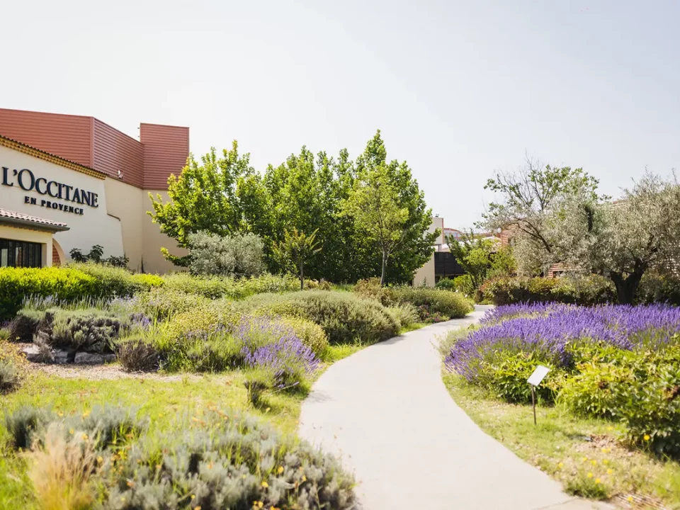 Maison L'Occitane sur les Routes de la Lavande
