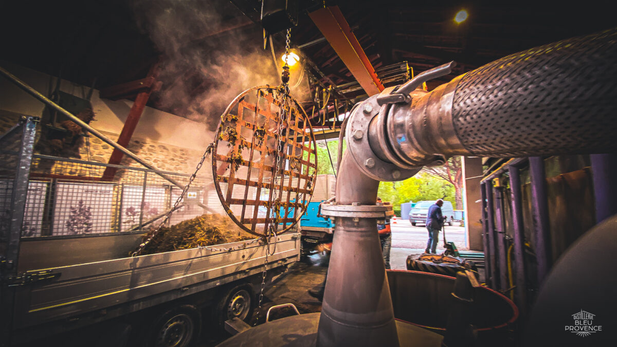 Distillation de plantes distillerie bleu provence routes de la lavande
