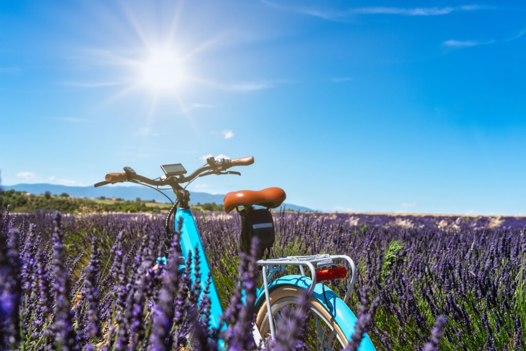 [:fr]velo_lavande_sault[:]