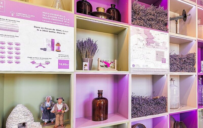 Museum of Lavender in Luberon – Le Château du Bois Provence
