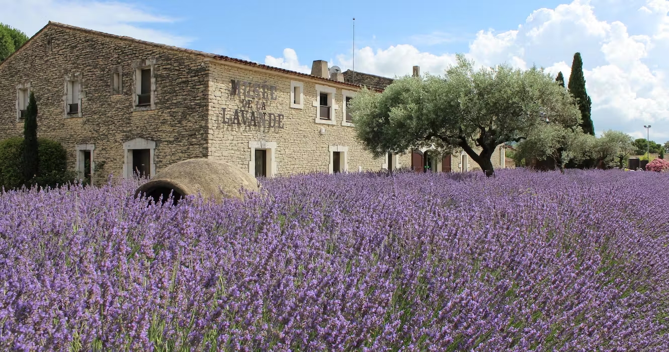 credit photo musee lavande