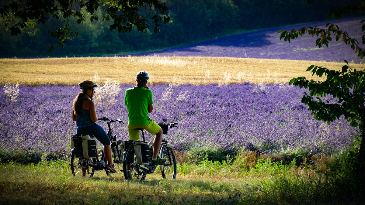 Les Routes de la Lavande à vélo
