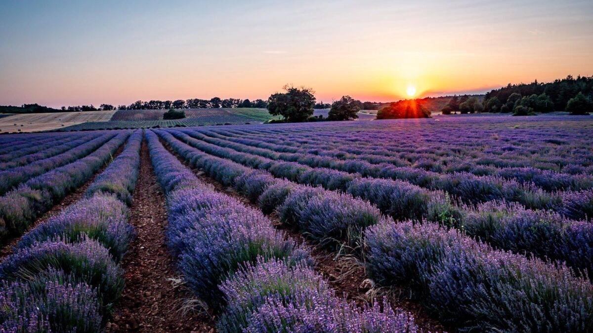 coucher de soleil routes de la lavande