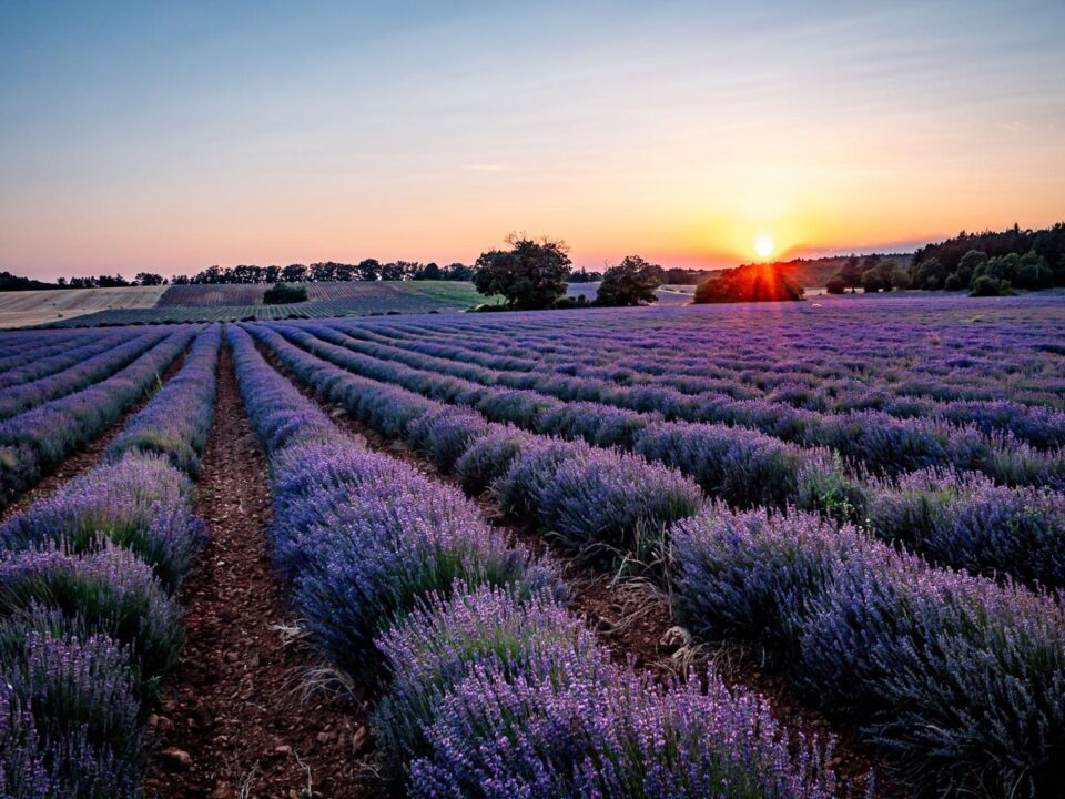 coucher de soleil routes de la lavande