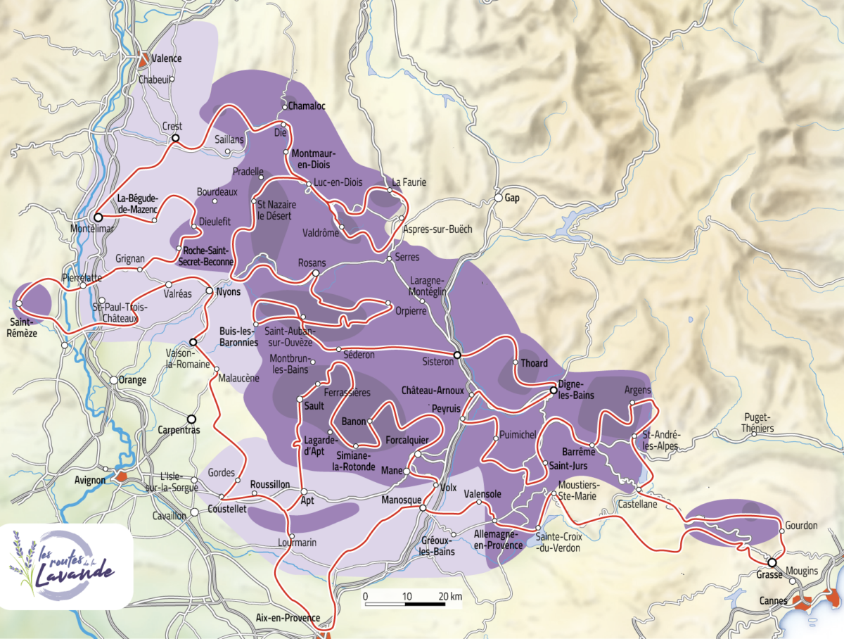 Carte floraison de la Lavande 2026