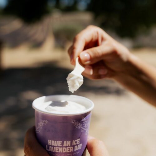 Terre Ugo x Morgane de Maistre-037